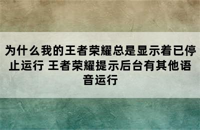 为什么我的王者荣耀总是显示着已停止运行 王者荣耀提示后台有其他语音运行